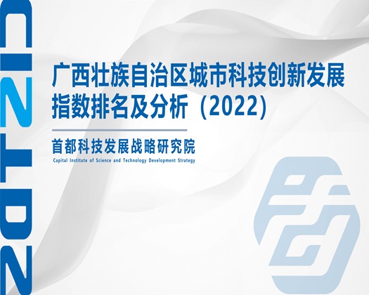 来操屄在线【成果发布】广西壮族自治区城市科技创新发展指数排名及分析（2022）